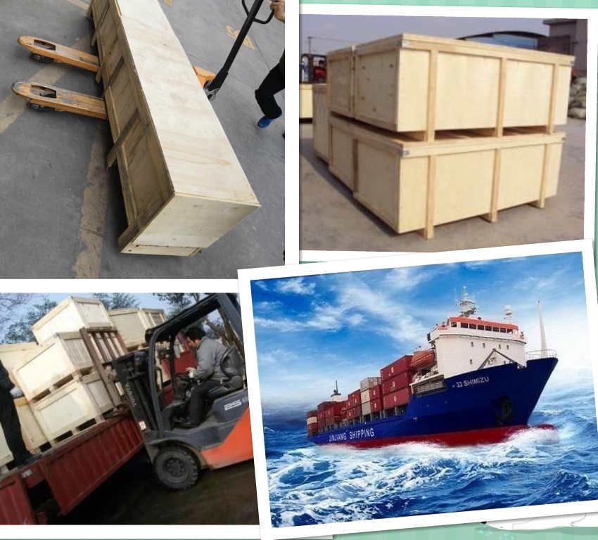 Delivery Shipping and Service(001)